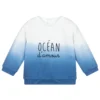 Carrement Beau Carrément Beau Blue Organic Cotton Sweatshirt
