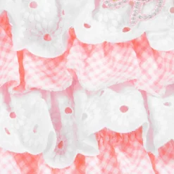 Little Darlings Pink Gingham & Lace Shortie -BloomBabe Cloth Store little darlings pink gingham lace shortie 210790 f62ddd4cbbc2e64b51bea31bc3ca2a3bd361c07a